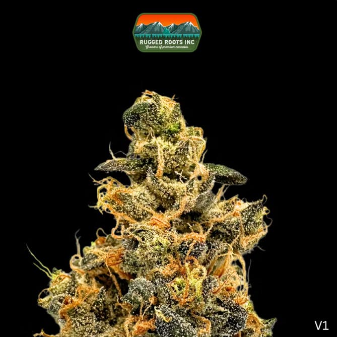 TRIBE DRT WEED クラッシュ9