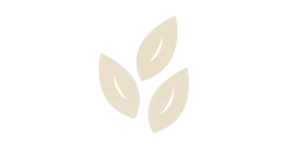 Seeds category image