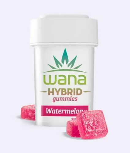 Classic Watermelon Hybrid Chews [10 Pack] | 100mg-1