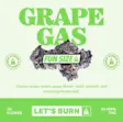 Let's Grape Gas Fun Size Budz