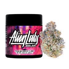 22Red Brainfizz Flower Cannabis for sale Phoenix AZ - Sol Flower