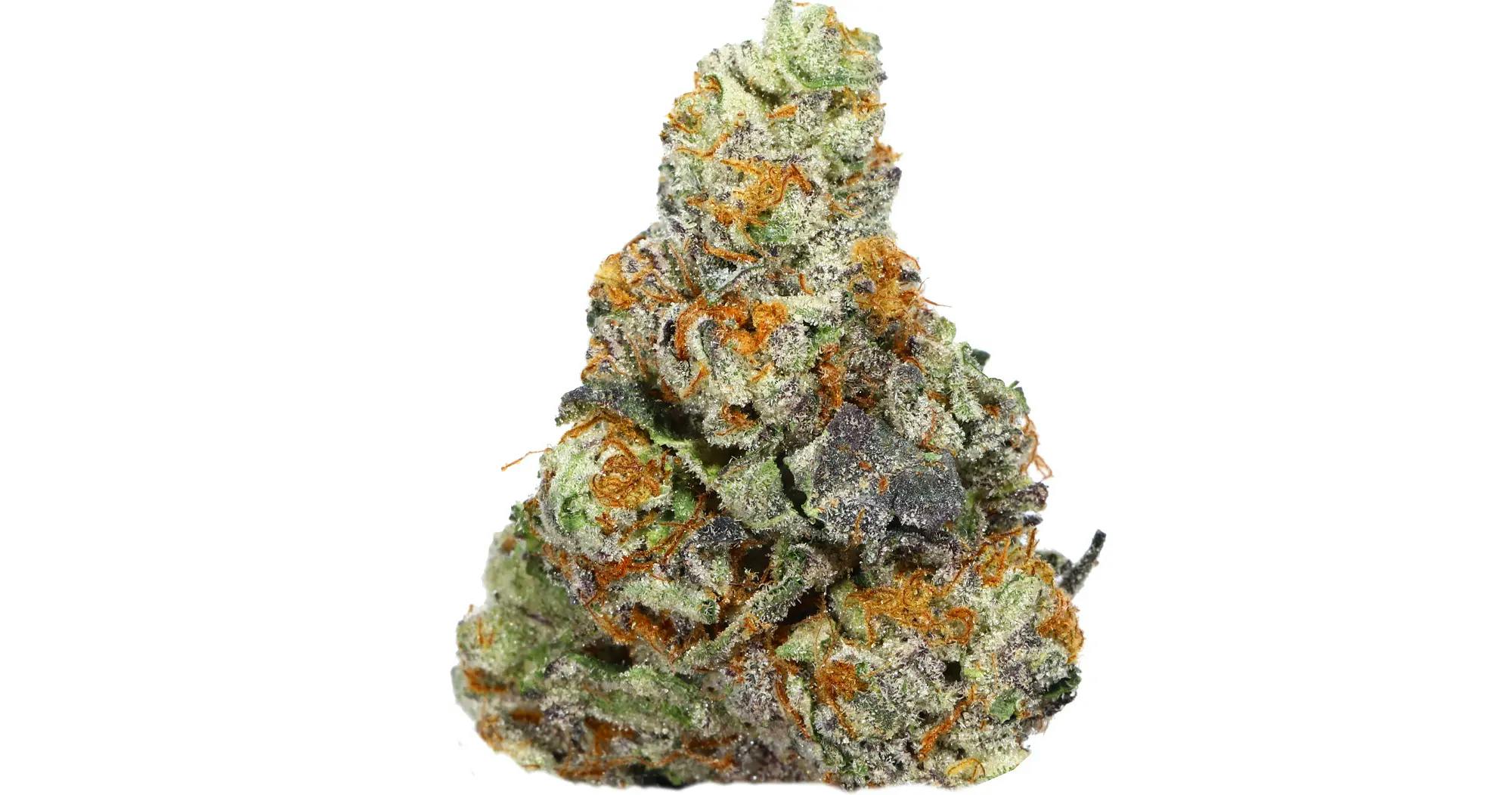 Tiny Fires Flower - Hashburger 14g | Harborside (San Francisco)