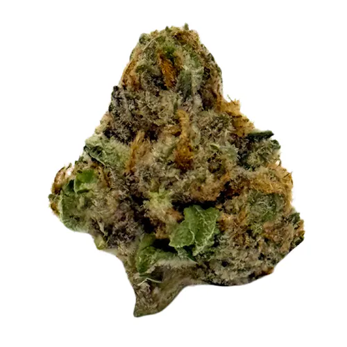 WGE | Pre Packed 3.5g | Black Cherry Punch-1