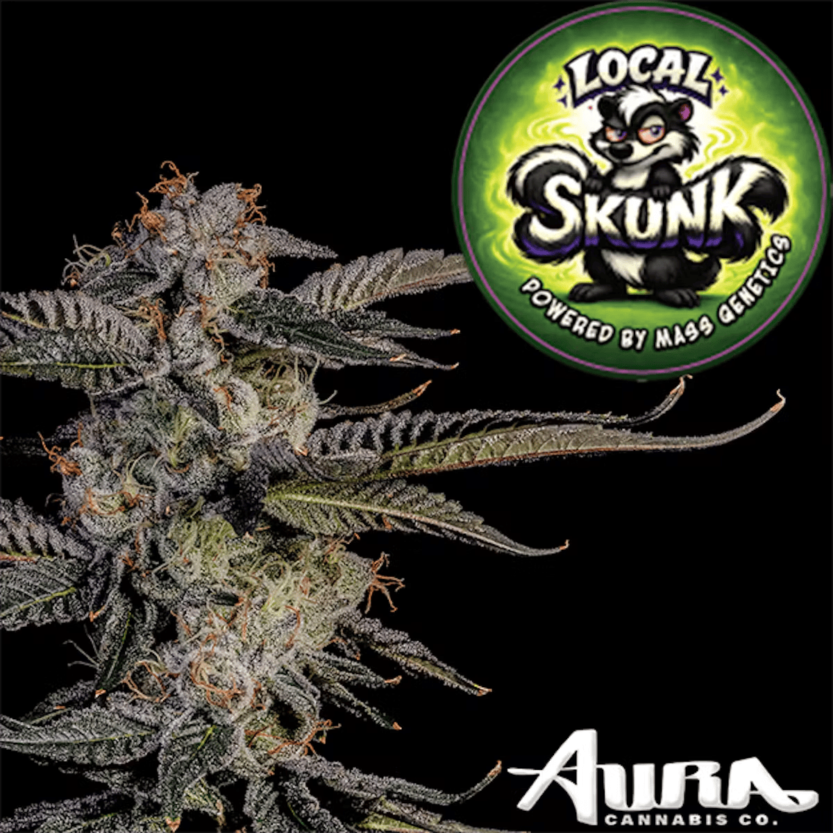 Product Aura | Local Skunk | Straight Rolled Cannon