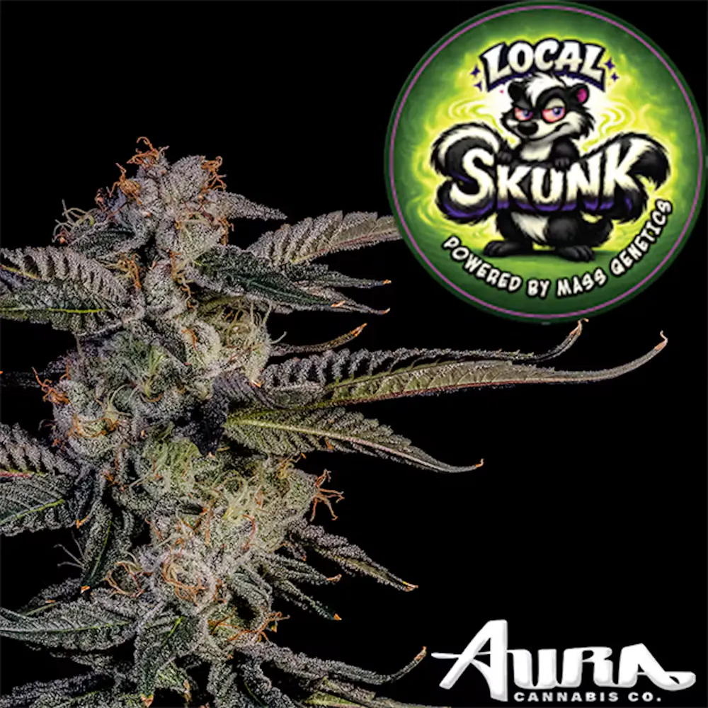 Product Aura | Local Skunk | Straight Rolled Cannon