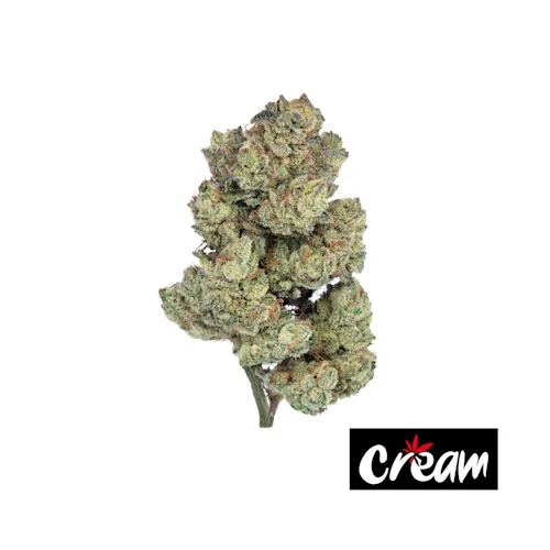 PK Crasher-1