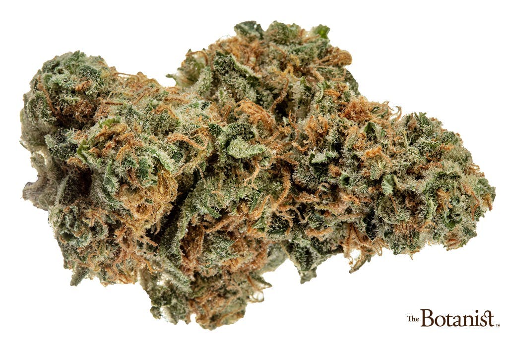 Photo of The Botanist Blueberry Kush 3.5g
