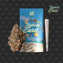 Seed Junky - 1g Preroll - Tropical Burst
