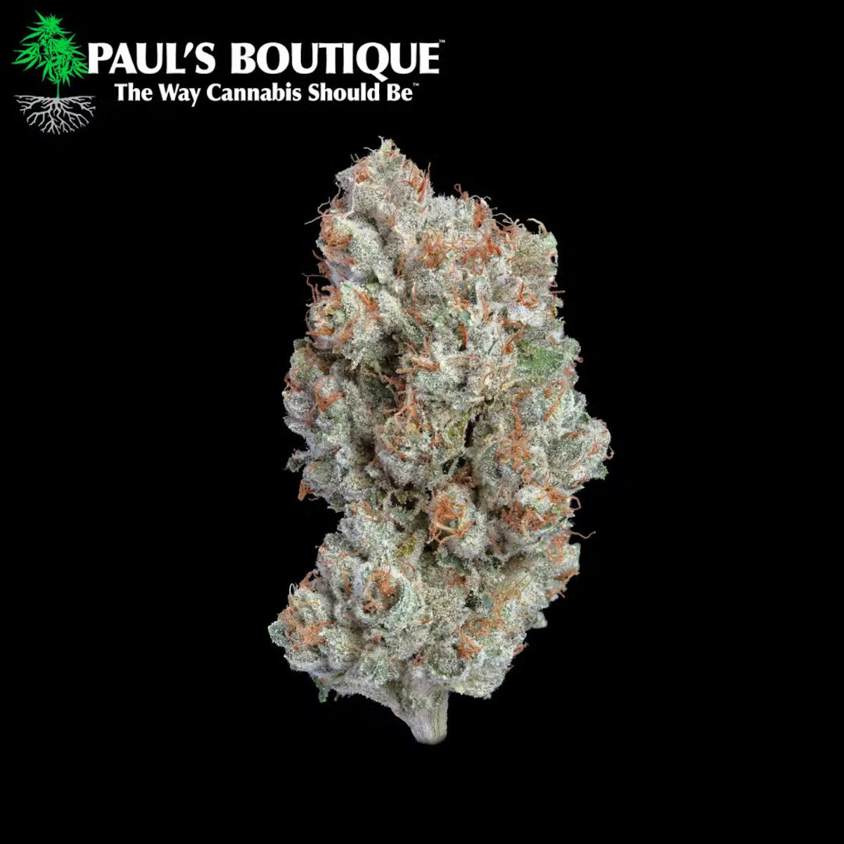 Image of Skywalker | 3.5g