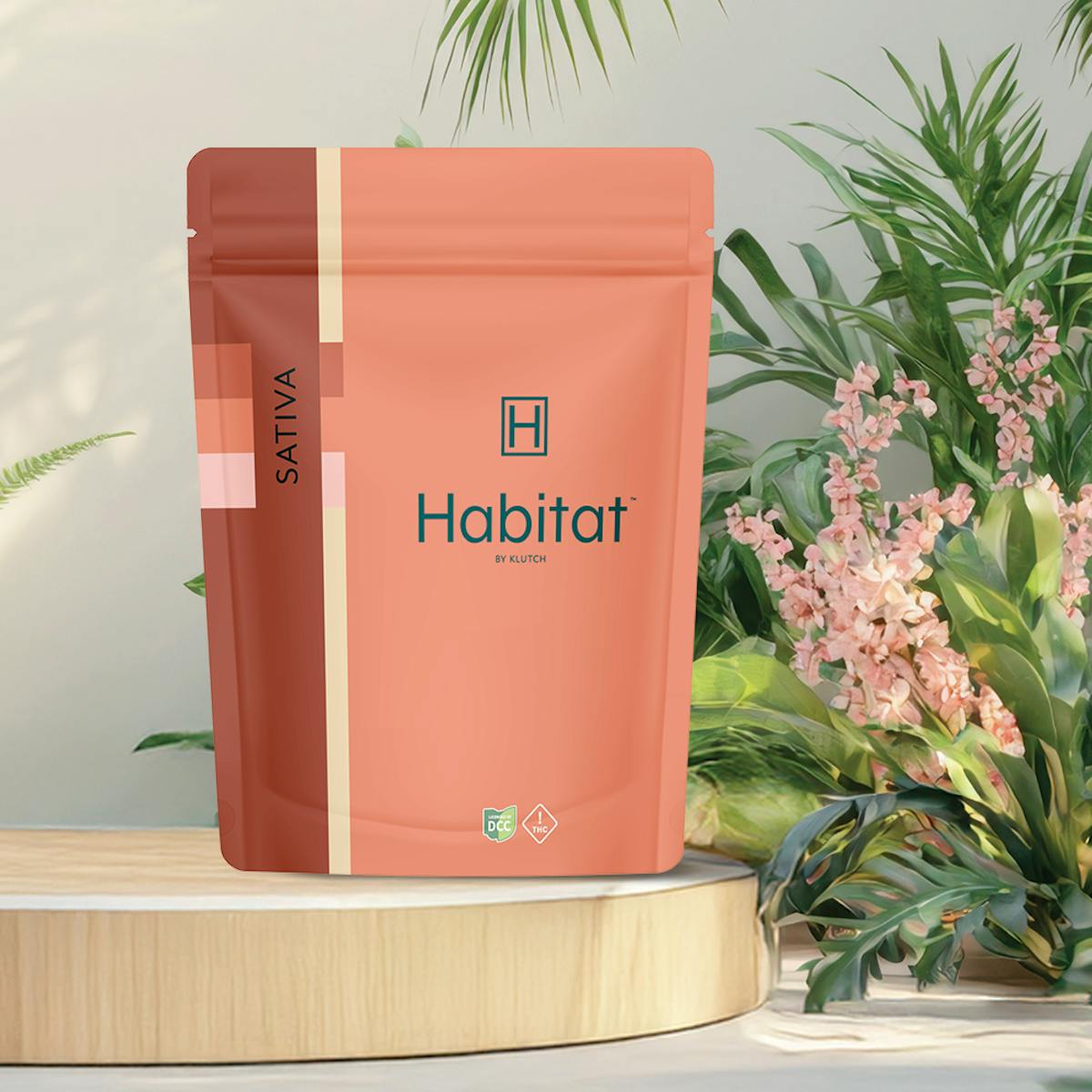 Photo of | Key Lime |