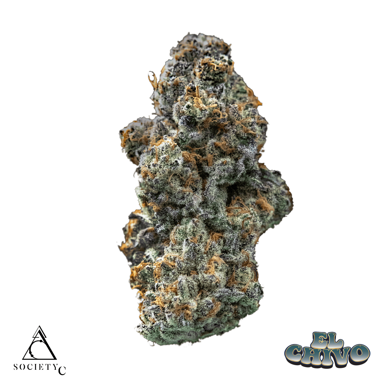 Product: Society C | Bulk Bud - El Chivo