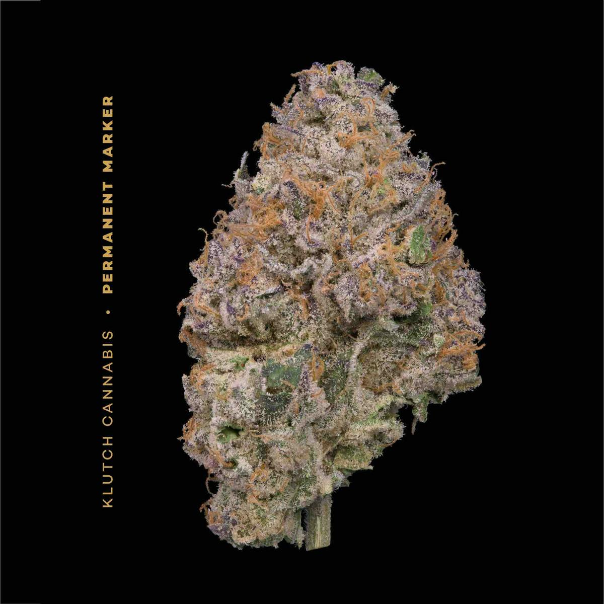 Photo of | Permanent Marker |