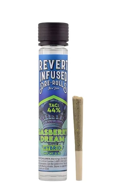 Revert |  Infused Pre Roll 0.7g | Gasberry Dream