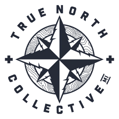 Fusion - 2g Disposable - Pink Lemonade