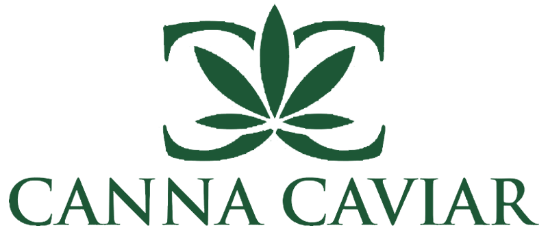 Image of God's Gift | Indica