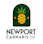 dispensary logo