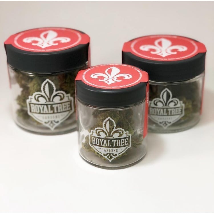Royal Tree Gardens: Alien Apple Cookies