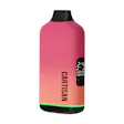 Veil NEO Blush