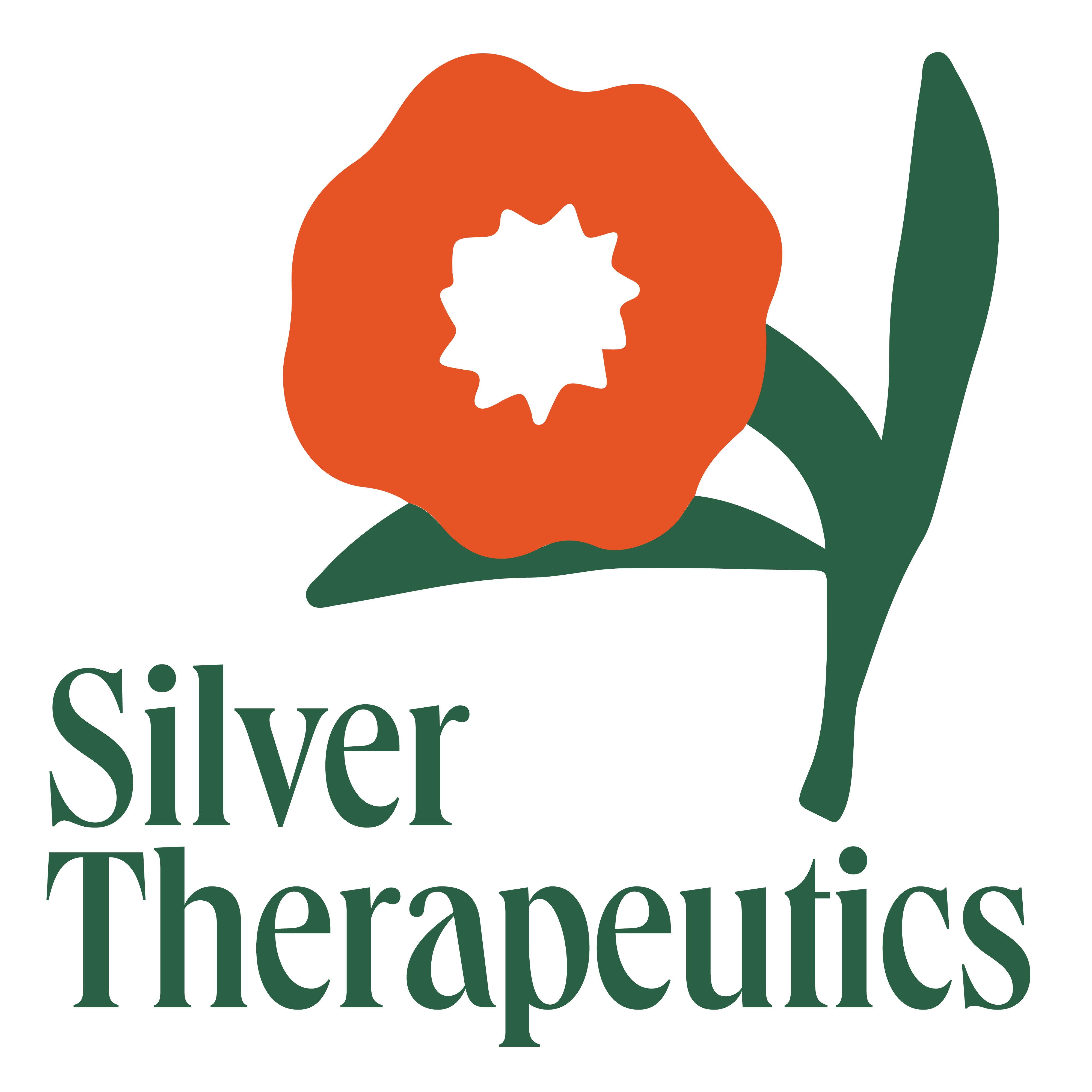 logo for Silver Therapeutics (Bennington)