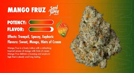 Seed Junky SEED JUNKY | MANGO FRUZ | PRE-PACK HYBRID — FLOWER