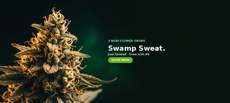 3 new Flower at MrGreen DC — Swamp Sweat, Old Pal PRIMO Diamond Infused Sativa Pre-Ground, Old Pal Hybrid Pre-Ground