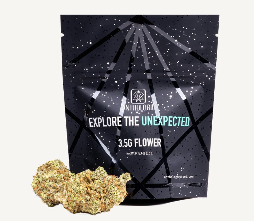 Anthologie AJ's Sour Diesel | 3.5g | Bridge City Collective