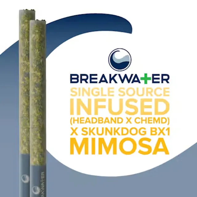 Breakwater Extract Infused Pre-Roll Pack (Headband x ChemD) Skunkdog BX1 x MM 2pk/1g (hybrid, packs)