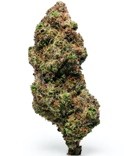 Dada | Hash Burger | Flower | Hybrid-1