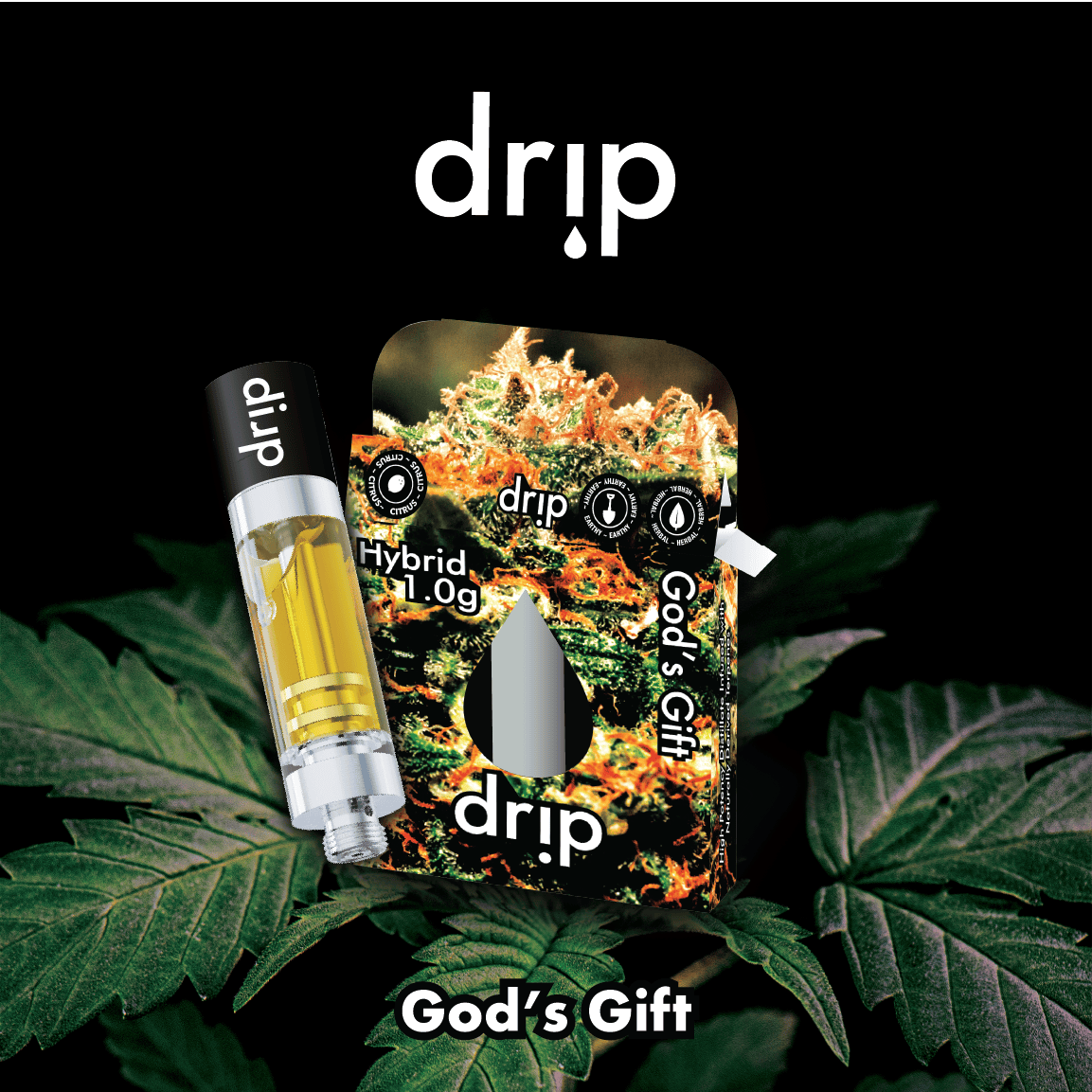 Drip - Gods Gift Cart