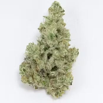 Product: GATSBY CANNABIS CO. | CAP JUNKY HYBRID