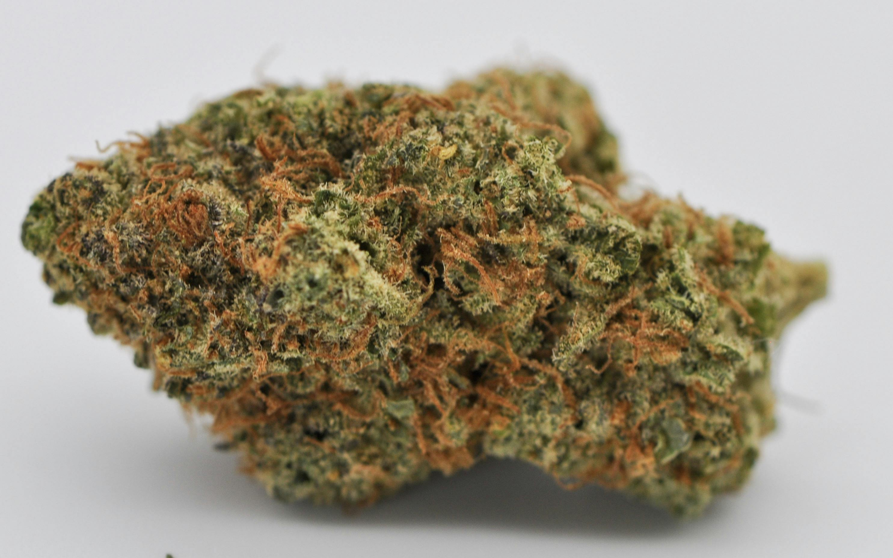 image of Sunny Mac | 3.5g Prepackaged Flower