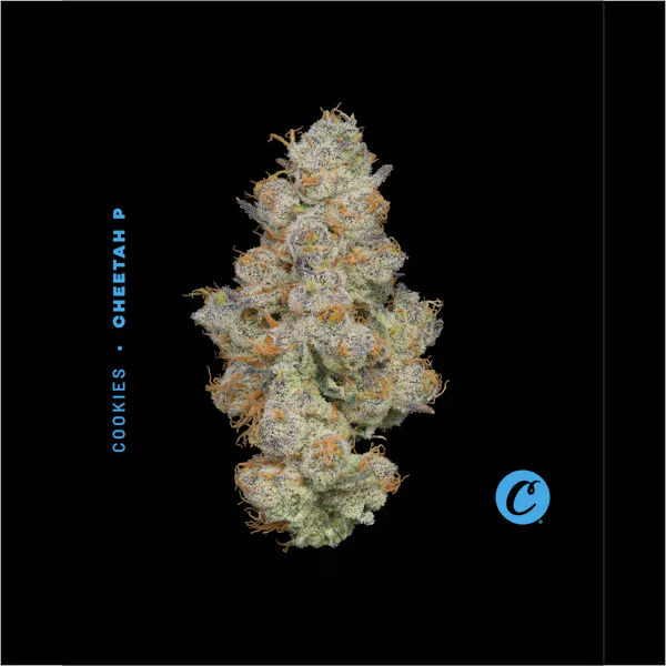 Wild Cat 2.83g Flower | Riviera Creek |