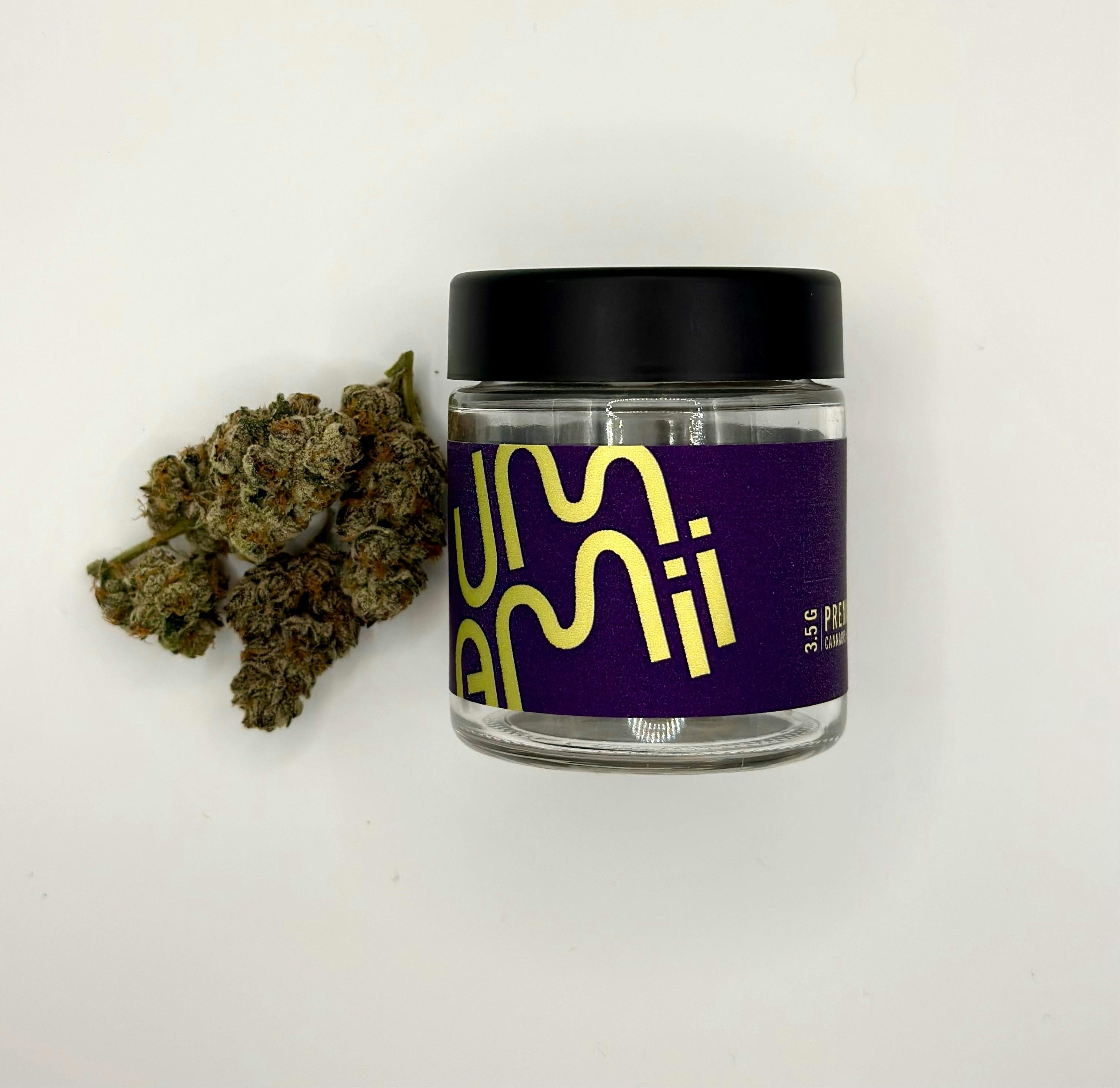 GMO | 3.5g