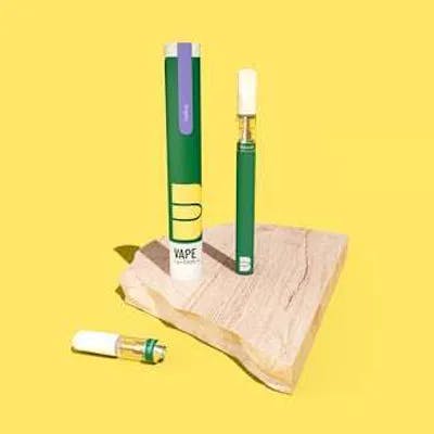 the botanist disposable vape Complete Guide to Disposable Vapes 2026 main image 0