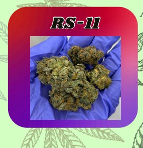 RS-11 | Ragged Wizard