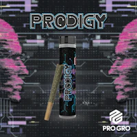 Prodigy 1g Pre-Roll - product image at King of Budz