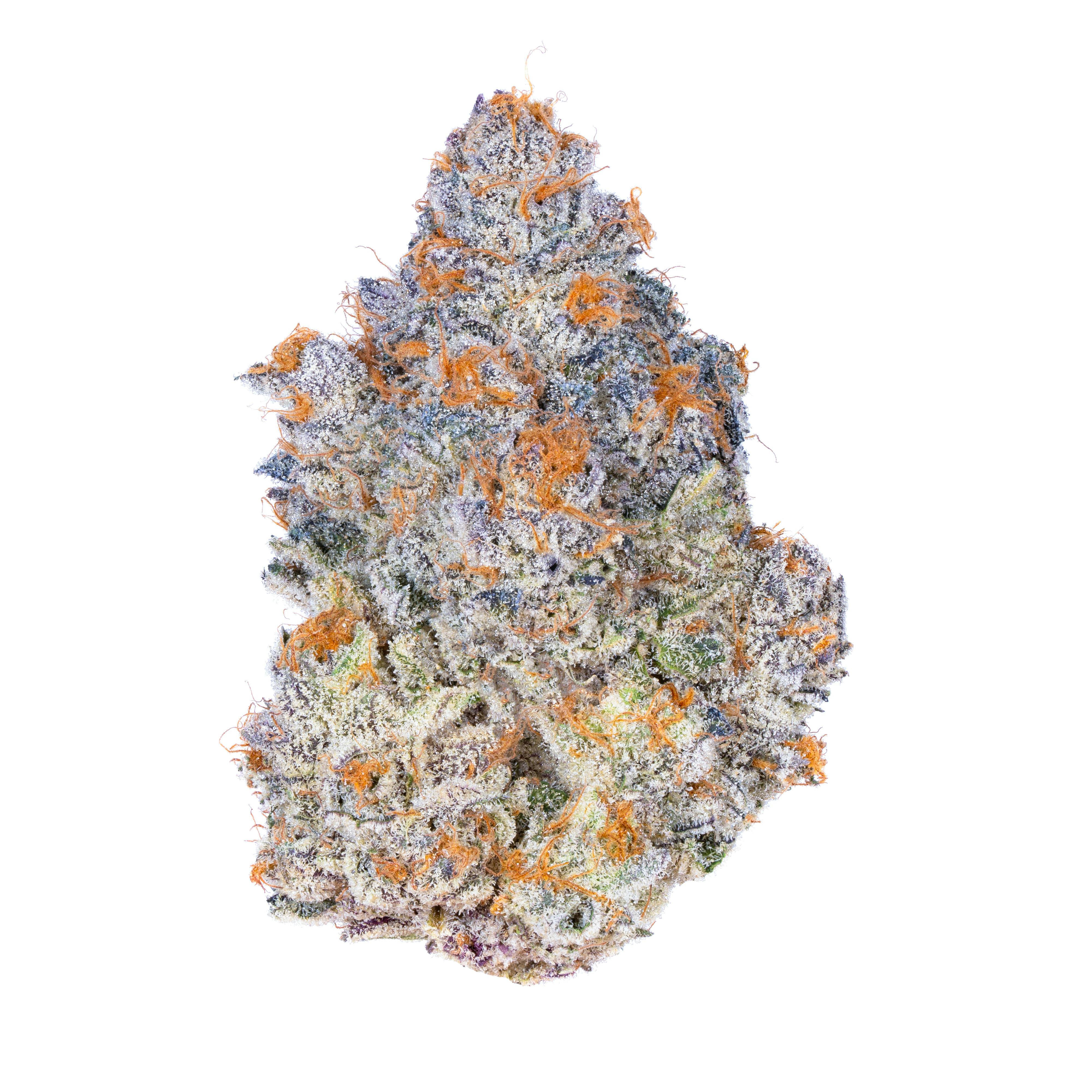XJ-13 Flower