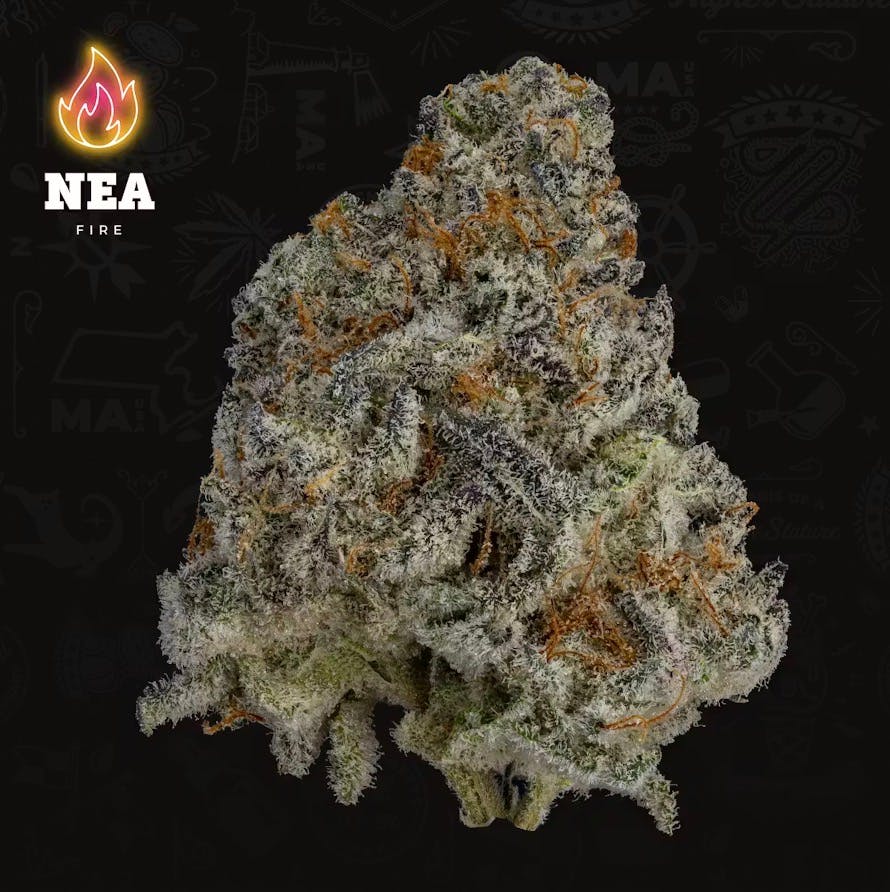 Product NEA Fire | Black Ice | Smalls