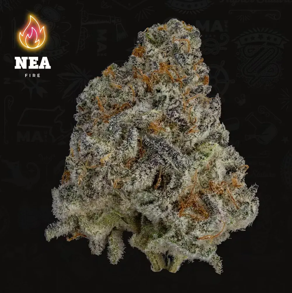 Product NEA Fire | Black Ice | Smalls