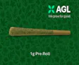 AGL Slapz