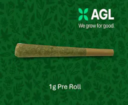 AGL Slapz