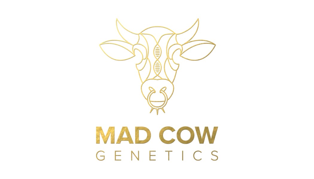 Mad Cow Smalls Mylar Bag | Lambs Bread