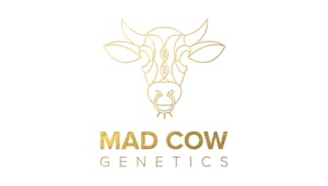 Mad Cow Smalls Mylar Bag | Lambs Bread