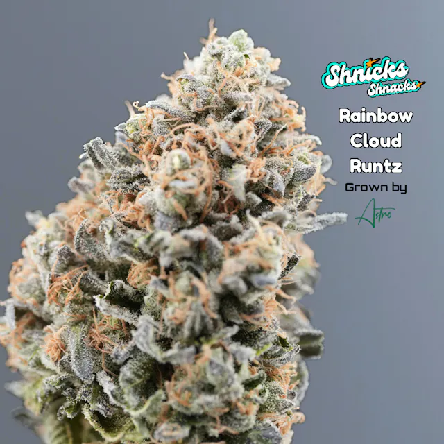 Shnicks Shnacks Flower Rainbow Cloud Runtz 3.5g (hybrid, whole flower)