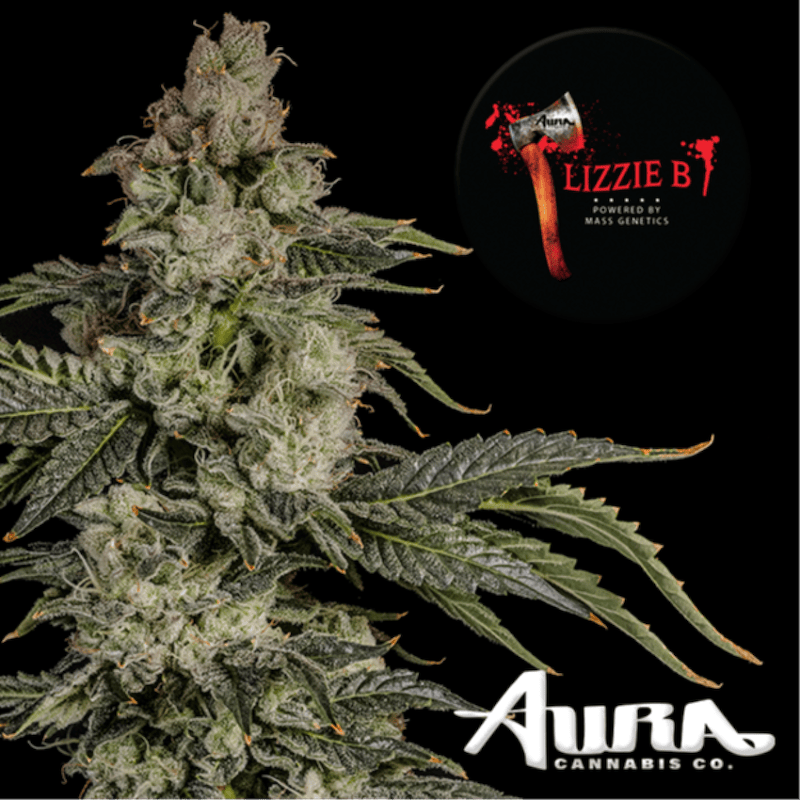 Product Aura Cannabis Co. - Lizzie B Flower (3.5g)