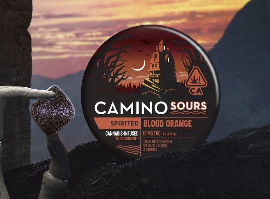 Camino Sours | Spirited | Blood Orange (BX)