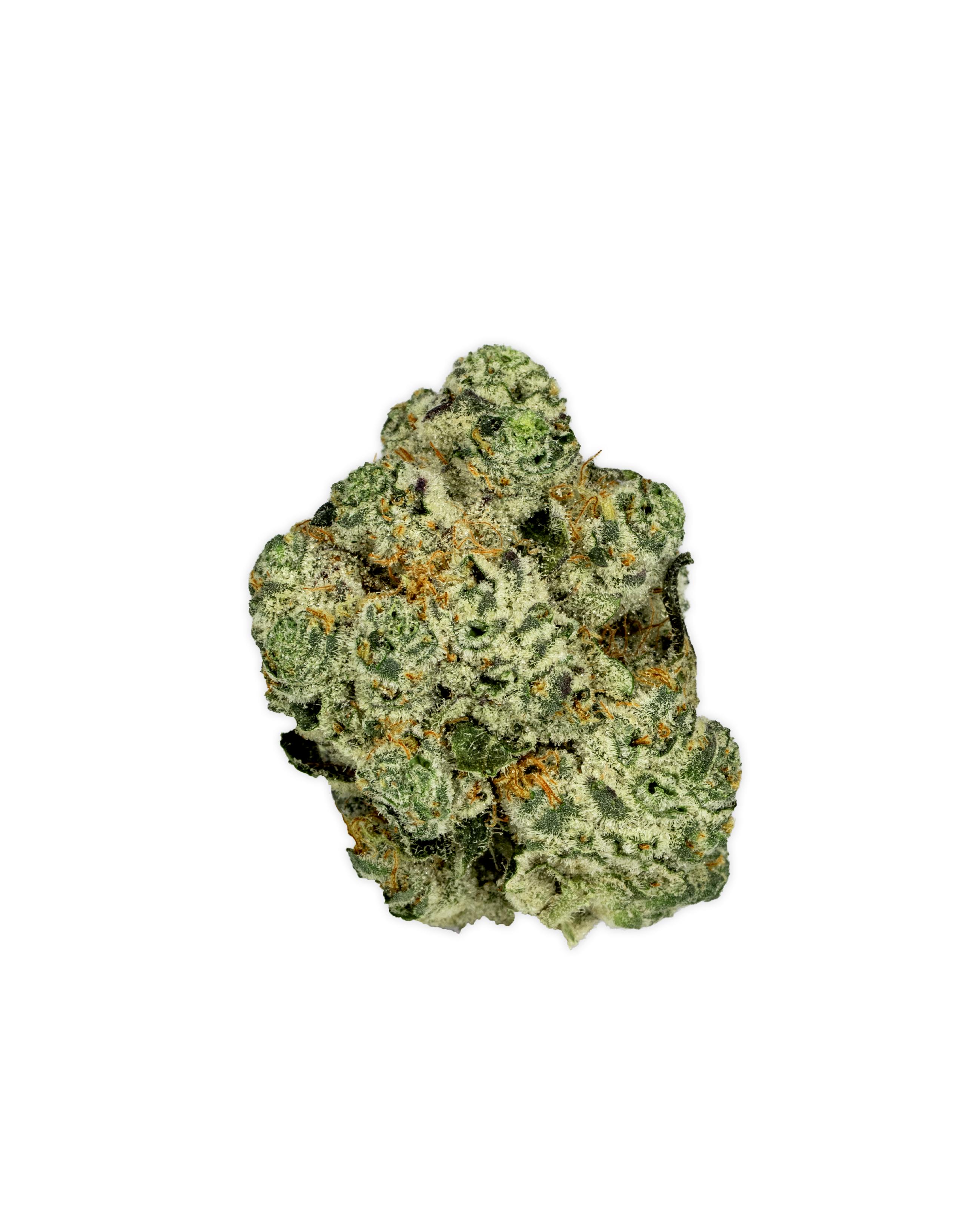 Shop Edie Parker Indoor SOUR JACK in New York | Gotham NYC Dispensary