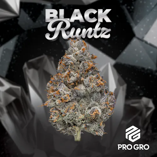 Black Runtz Deli • Pure Options
