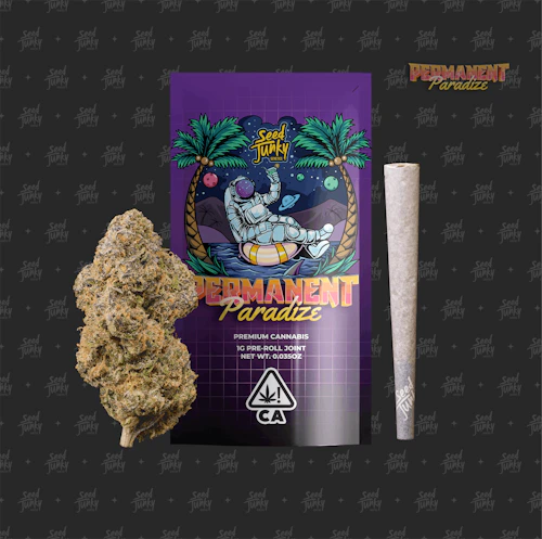Seed Junky - 1g Preroll - Permanent Paradize