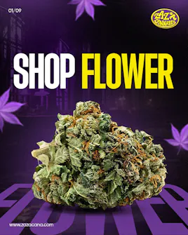 Flower category image
